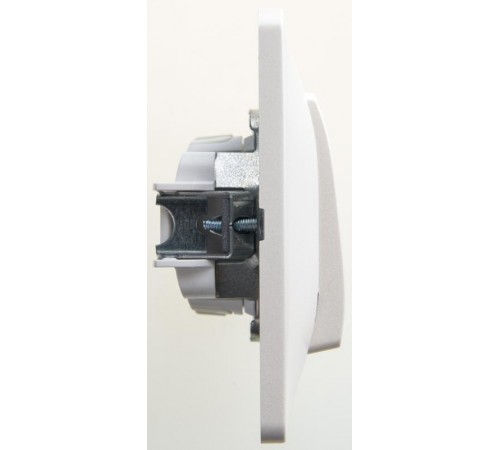 Glossa Перламутр Выключатель 1-клавишный, сх.1, 10АХ (в сборе)  GSL000612  SE