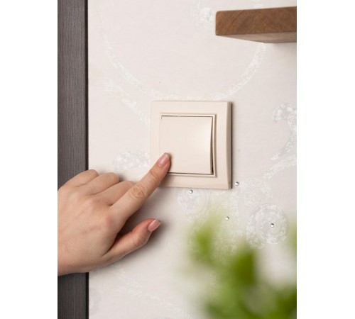 Минск Кнопка нажимная  СП, 10А, бежевая EKFERV10-028-20EKF