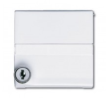 Плата промежуточная с крышкой для центр. плат , с индивидуальным зам., IP44, серия Allwetter 44, цвет альп. белый  1710-0-1969   2CKA001710A1969  A