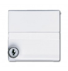 Плата промежуточная с крышкой для центр. плат , с индивидуальным зам., IP44, серия Allwetter 44, цвет альп. белый  1710-0-1969   2CKA001710A1969  A