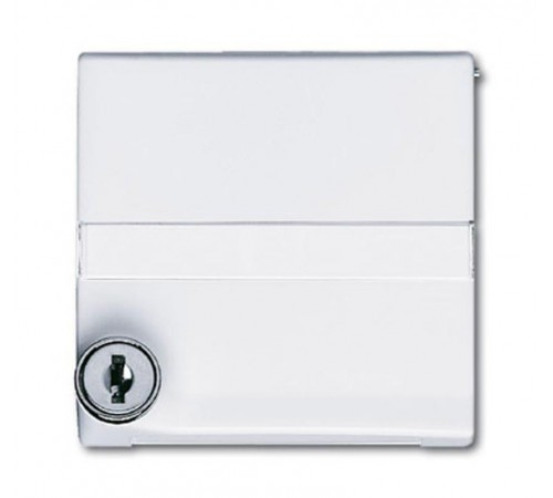 Плата промежуточная с крышкой для центр. плат , с индивидуальным зам., IP44, серия Allwetter 44, цвет альп. белый  1710-0-1969   2CKA001710A1969  A