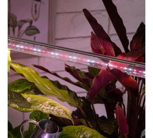 Лампа светодиодная Т8 фито для растений 18Вт G13 белый спектр ЭРА FITO-18W-Ra90-Т8-G13-NL  Б0042987  ЭРА