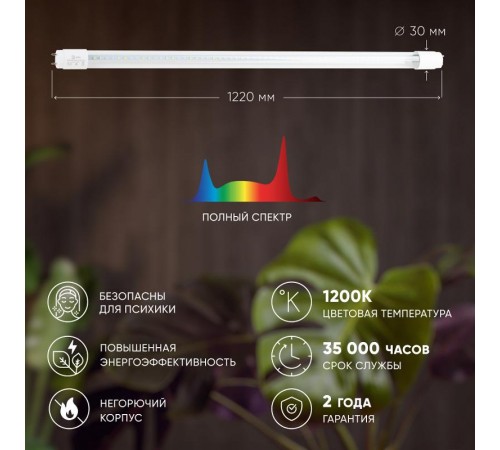 Лампа светодиодная Т8 фито для растений 18Вт G13 белый спектр ЭРА FITO-18W-Ra90-Т8-G13-NL  Б0042987  ЭРА