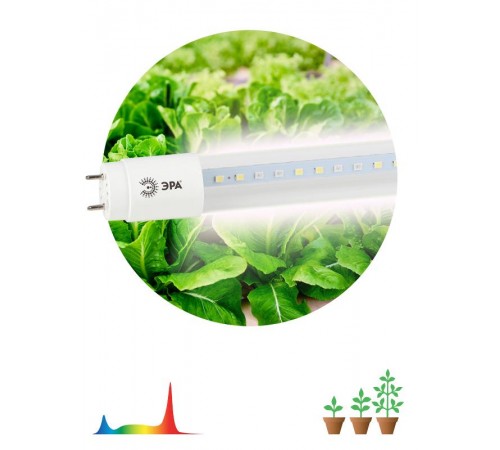 Лампа светодиодная Т8 фито для растений 18Вт G13 белый спектр ЭРА FITO-18W-Ra90-Т8-G13-NL  Б0042987  ЭРА