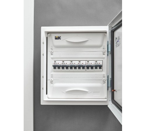 Выключатель автоматический двухполюсный M06N 2P C 1А 6кА ARMAT  AR-M06N-2-C001  IEK