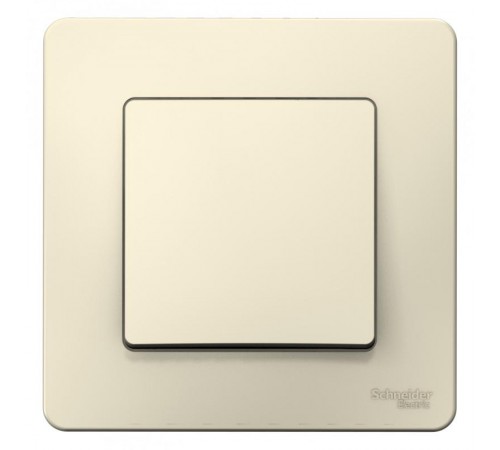 Blanca Молочный С/У Выключатель 1-клавишный, 10А, 250B  BLNVS010102  SE