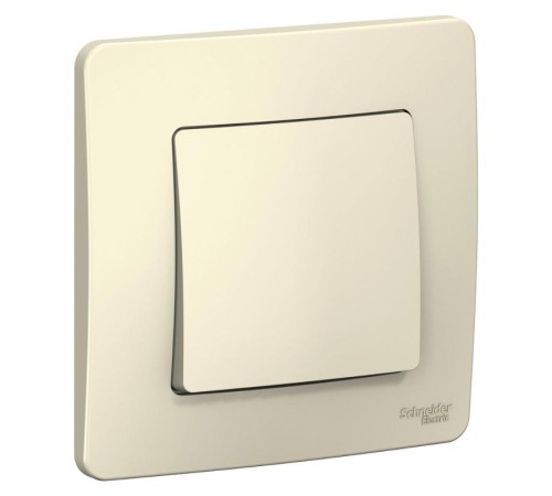 Blanca Молочный С/У Выключатель 1-клавишный, 10А, 250B  BLNVS010102  SE