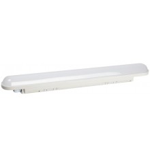 Светильник светодиодный линейный   SPP-201-W-65K-018  18Вт 6500К 1710Лм IP65 600мм матовый  Б0061757  ЭРА