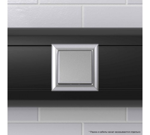 Инвертор (промежуточный переключатель) одноклавишный модульный, "Avanti", "Закаленная сталь", 2 модуля  4404122  DKC