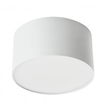 Светильник накладной со светодиодами, 10W, 700Lm, белый (4000К), AL200 "Simple matte"  48074  FERON