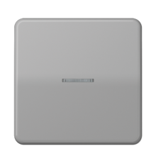 Клавиша для KNX кнопки, 1 группа с окошком; дюропласт; серый  CD101KO5GR  Jung