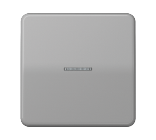 Клавиша для KNX кнопки, 1 группа с окошком; дюропласт; серый  CD101KO5GR  Jung