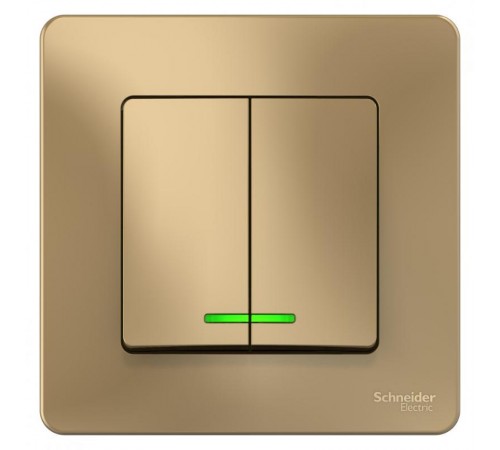 Blanca Титан С/У Выключатель 2-клавишный с подсветкой, 10А, 250B  BLNVS010514  SE