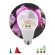 Светильник светодиодный для растений FITO-14W-RB-E27  Б0050602  ЭРА
