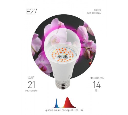 Светильник светодиодный для растений FITO-14W-RB-E27  Б0050602  ЭРА