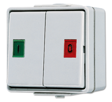 Сдвоенная кнопка без фиксации с символами (пуск-стоп)  639W  Jung