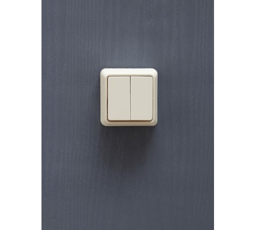 ОКТАВА кремовый Выключатель 2-клавишный О/У 10А ВС20-2-0-ОКм EVO20-K33-10-DC  GENERICA