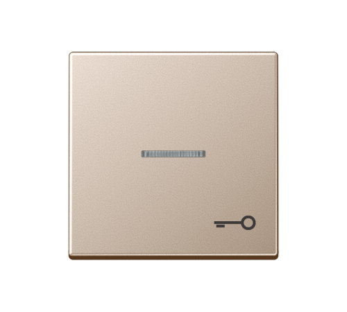 Клавиша для контрольного выключателя со знаком ключ; шампань  A590KO5TCH  Jung