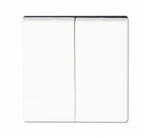 Клавиша для двойного выключателя; белый  EP495WW  Jung