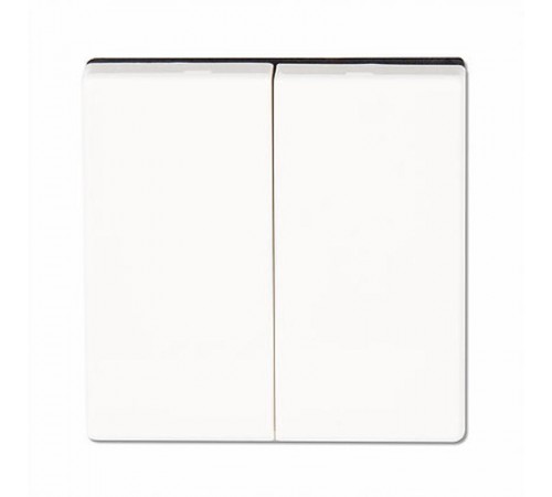 Клавиша для двойного выключателя; белый  EP495WW  Jung