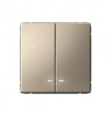 ArtGallery Шампань Выключатель 2-клавишный с подсветкой, сх.5а, 10АХ, механизм  GAL000553  SE