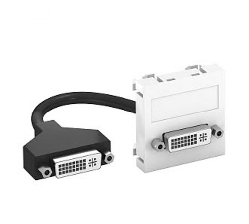 Мультимедийная рамка DVI Modul45 (черный) (MTG-DVI F SWGR1)  6104757  OBO Bettermann