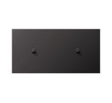 Центральная плата, 2 поста, для горизонтальной установки, тумблеры 1+1,цилиндр; металлическое исполнение; Dark; серия LS  AL12-200DR01  Jung