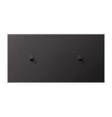 Центральная плата, 2 поста, для горизонтальной установки, тумблеры 1+1,цилиндр; металлическое исполнение; Dark; серия LS  AL12-200DR01  Jung