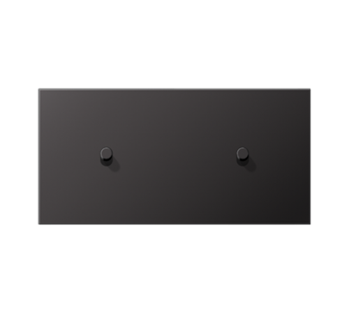 Центральная плата, 2 поста, для горизонтальной установки, тумблеры 1+1,цилиндр; металлическое исполнение; Dark; серия LS  AL12-200DR01  Jung