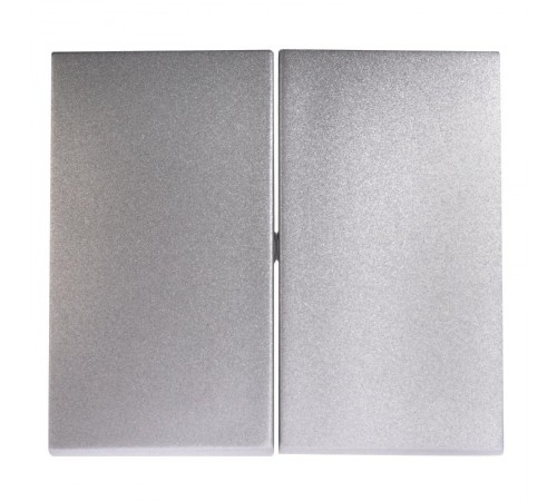 Valena Алюминий Накладка выключателя 2-го  770252  Legrand