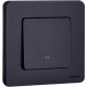 Inspiria Антрацит Выключатель 1-клавишный с подсветкой С/У без рамки  673613  Legrand