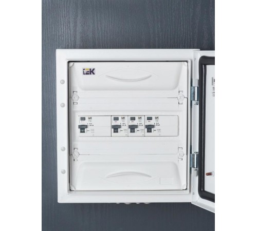 Выключатель дифференциальный (УЗО) R10N 2P 25А 30мА тип AC ARMAT  AR-R10N-2-025C030  IEK