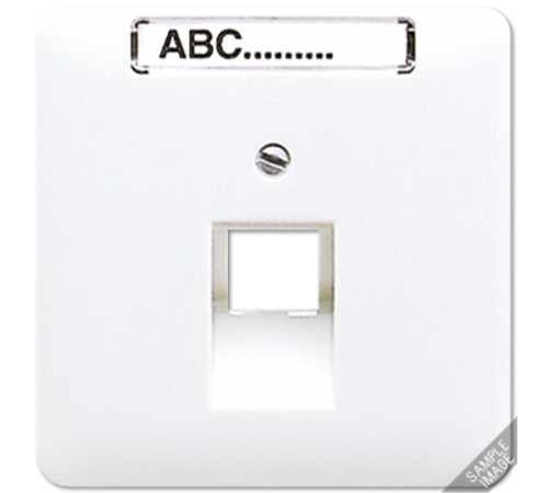 Крышка для телефонной  и  компютерной  розетки UAE с полем для надписи  569-1NAUA  Jung