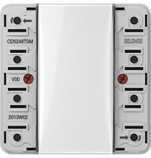 кнопочный модуль 24В 4гр CD5248TSM Jung