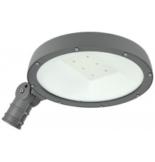 Светильник светодиодный консольный уличный ДКУ Парк 2001-100Д 5000К IP65  LDKU0-2001-100-5000-K02  IEK