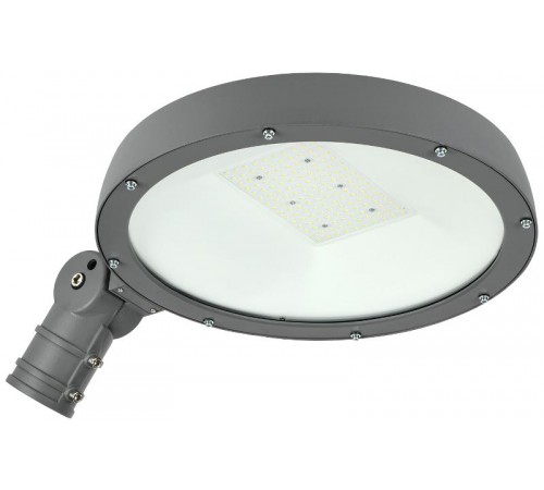 Светильник светодиодный консольный уличный ДКУ Парк 2001-100Д 5000К IP65  LDKU0-2001-100-5000-K02  IEK