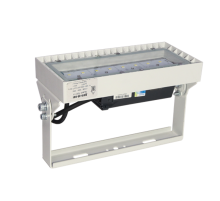 Прожектор ДО19-55-101 Quant 750  1230505101  АСТЗ