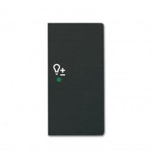 Клавиша двойная правая free@home, светорегулятор, future, цвет чёрный бархат  2CKA006220A0628  ABB