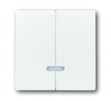 Клавиша для 2-канального светорегулятора 6565 U, серия solo/future, цвет davos/альпийский белый  6599-0-2908   2CKA006599A2908  ABB