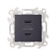 Simon 24 Графит Зарядное устройство розетка 2хUSB  2411096-038  Simon