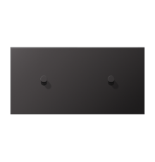 Центральная плата для выключателей, 2 поста (единая плата), для горизонтальной установки, тумблеры 1+1, конус; металл; dark; LS1912  AL12-200DK01  J