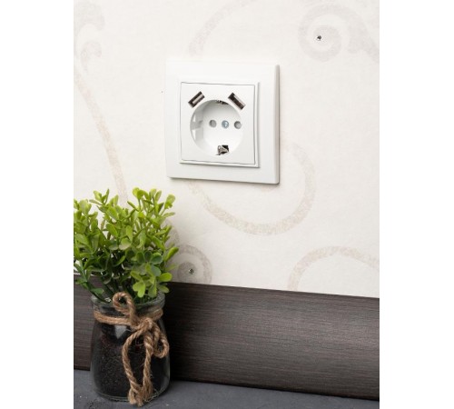 Минск Розетка 1-местная СП с/з 16А белая с защ. штор. с 2 USB 2,1А   ERR16-028-100-2USB  EKF