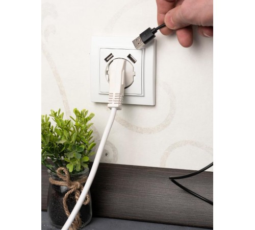 Минск Розетка 1-местная СП с/з 16А белая с защ. штор. с 2 USB 2,1А   ERR16-028-100-2USB  EKF