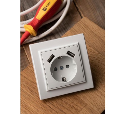 Минск Розетка 1-местная СП с/з 16А белая с защ. штор. с 2 USB 2,1А   ERR16-028-100-2USB  EKF