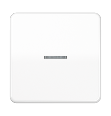 Одинарная клавиша с окошком для балансирных механизмов выключателей (кнопок), в комплекте с CD90HP (крепежный элемент), возможно IP44; дюропласт; белы