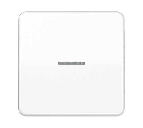 Одинарная клавиша с окошком для балансирных механизмов выключателей (кнопок), в комплекте с CD90HP (крепежный элемент), возможно IP44; дюропласт; белы