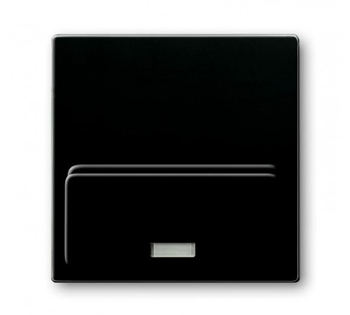 ABB Basic 55 Шато (чёрный) Плата центральная для мех док-станции Busch-iDock 8218 U  8200-0-0162  ABB