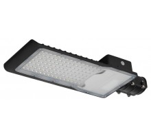 Уличный светильник SPP-502-0-50K-100 100Вт 5000K IP65  Б0051832  ЭРА