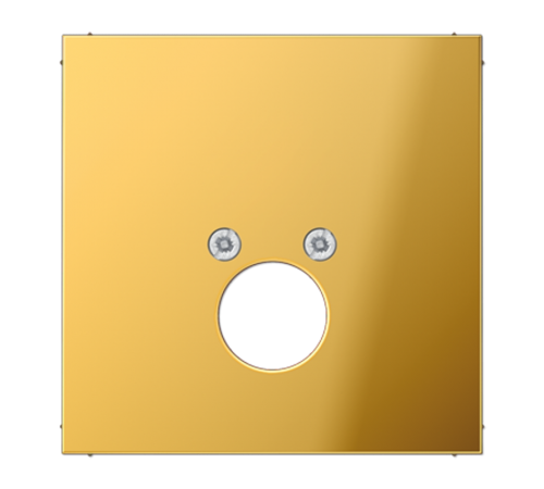 Крышка для одного гнезда подключения громкоговорителя; металл цвета золота  GO2962-1  Jung