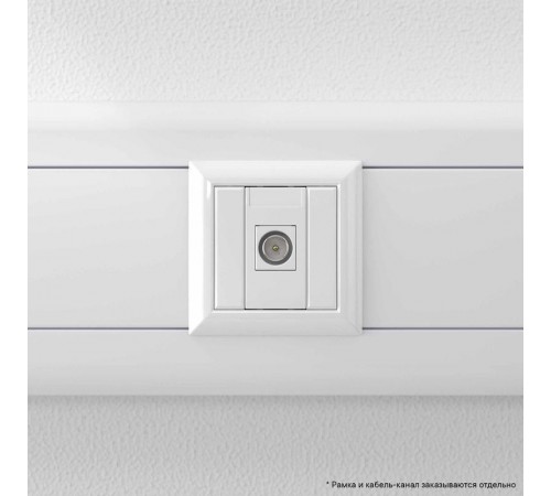 Розетка ТВ оконечная "Белое облако" "Avanti", 1 мод  4400501  DKC